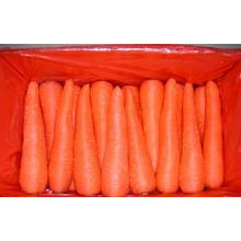 Китайский новый /Fresh урожая Морковь свежая морковь PE